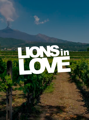 Lions in Love