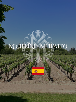 Michelini I Mufatto - Espanha